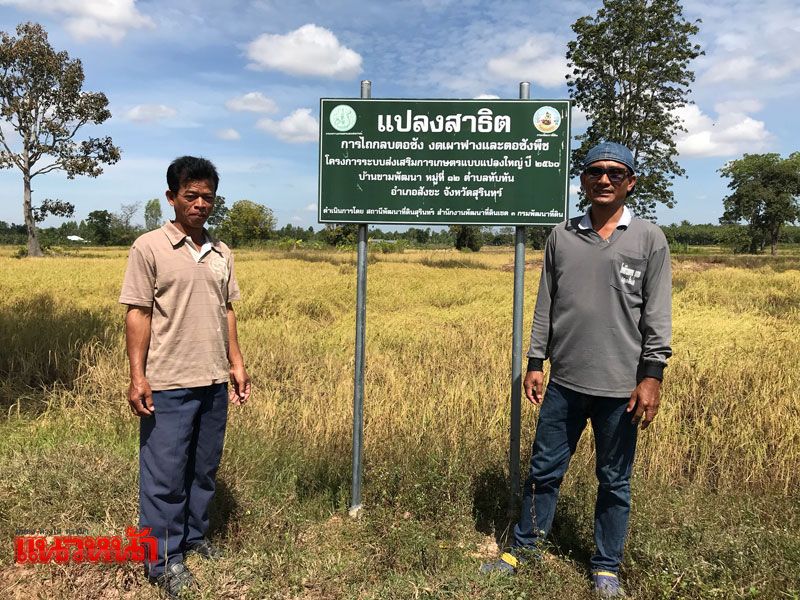 รูปภาพ