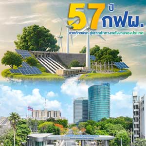 534.jpg