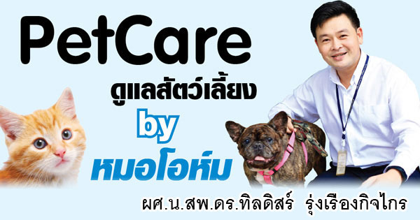 pet care