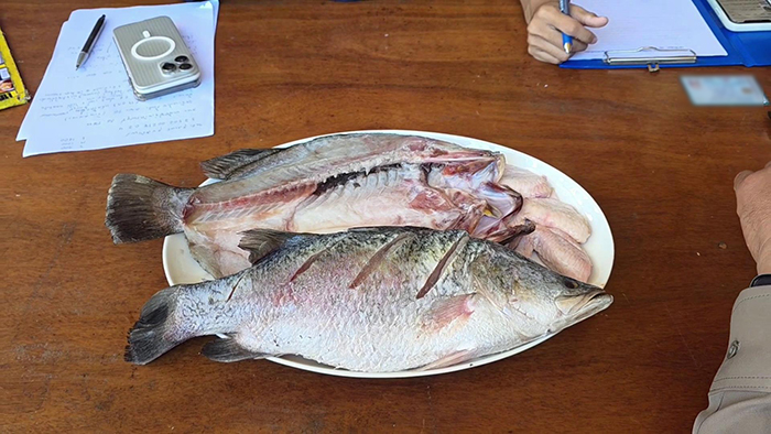 ลุยตรวจร้านอาหารคลองดำเนินสะดวก