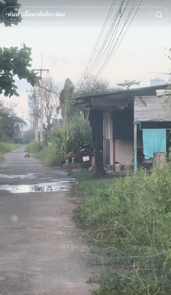 ตัวเงินตัวทอง