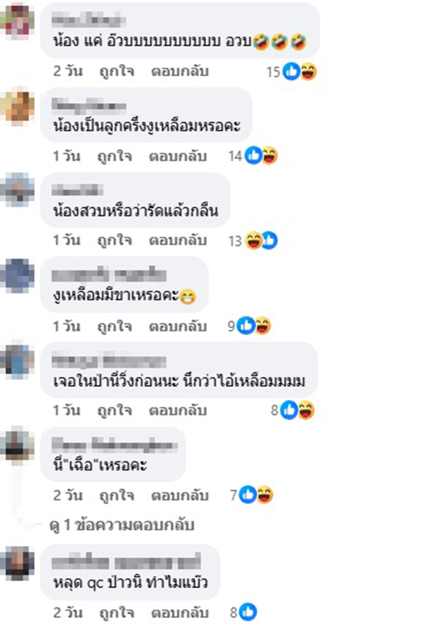 เสือลายเมฆ