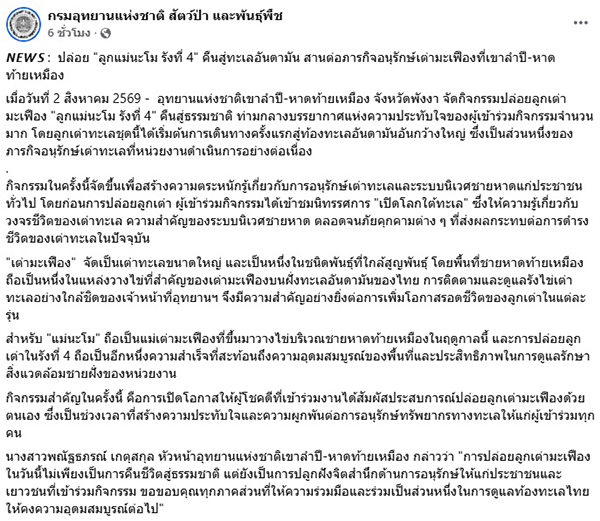 เต่ามะเฟือง