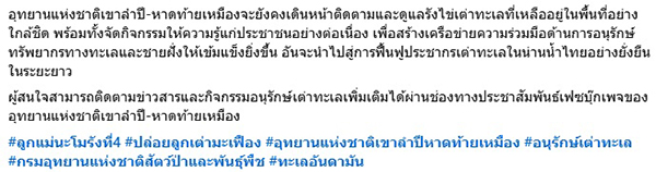 เต่ามะเฟือง