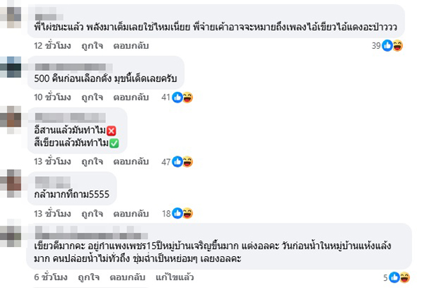 ไผ่ ลิกค์