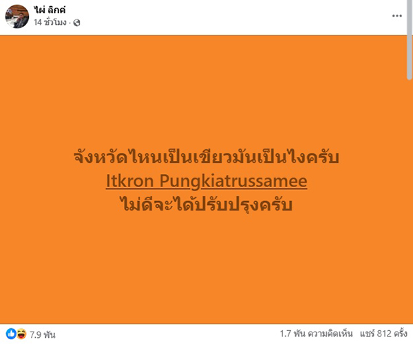 ไผ่ ลิกค์