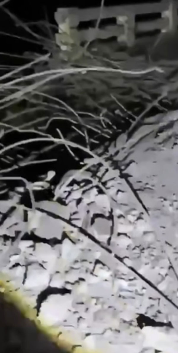 F16 หย่อนไข่ สะพานอูจีก