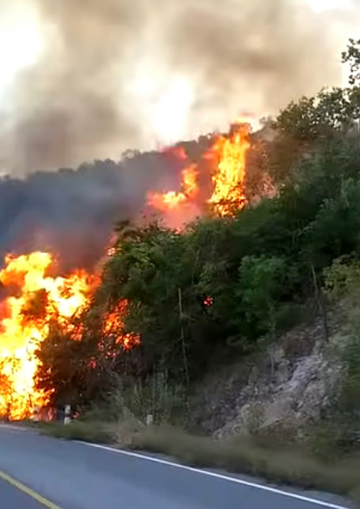 ไฟไหม้ป่า