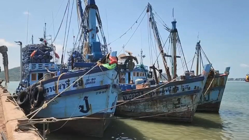 ประมงไทย