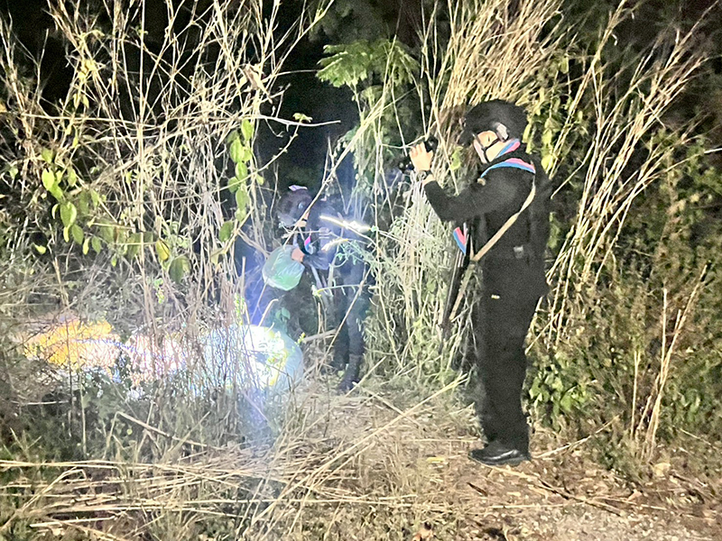 ใบกระท่อม