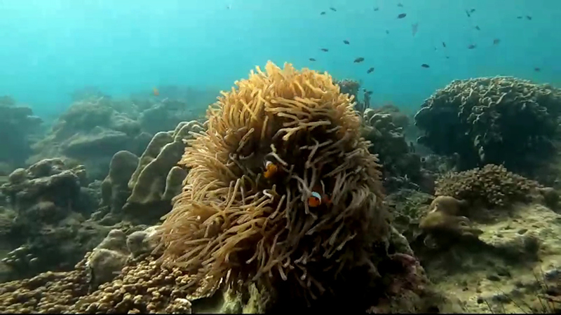 เศรษฐกิจ