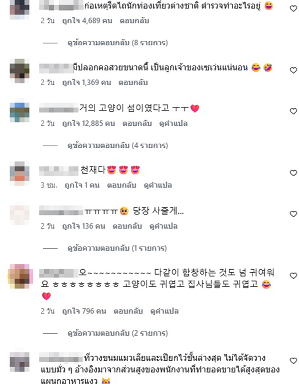 แมวไทย