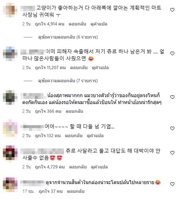 แมวไทย