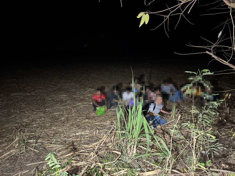 บัญชีม้า