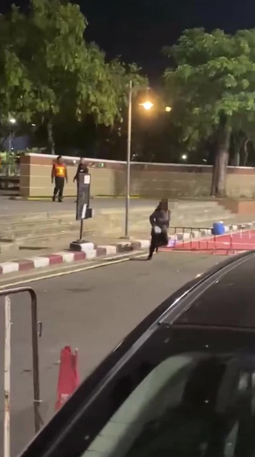 สาวแก้ผ้าเดินโชว์กลางเมือง