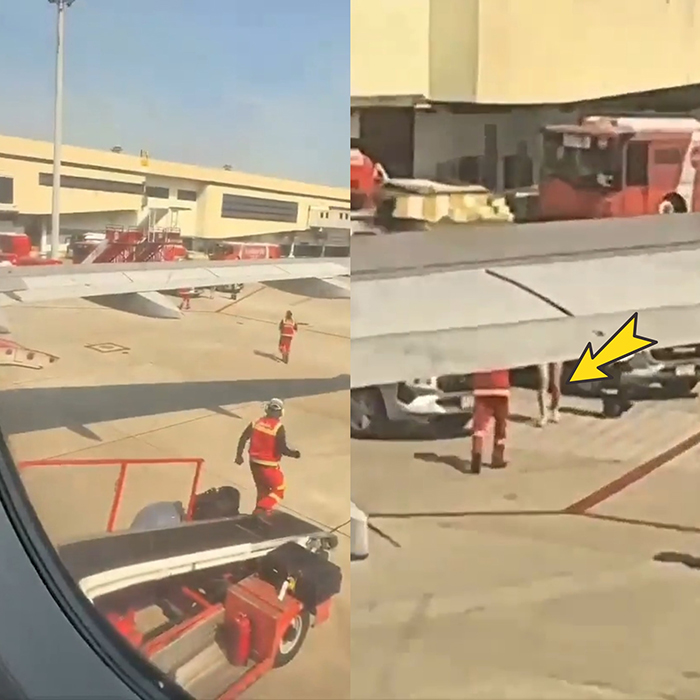 หนุ่มรัสเซียคลั่ง