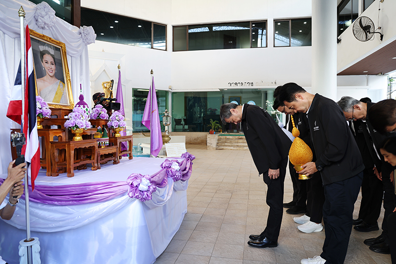 ประชาธิปัตย์