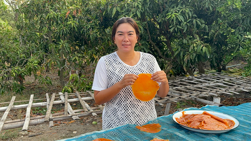 ชาวสวนมะม่วง