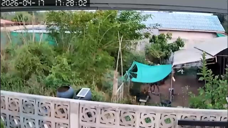 เพื่อนบ้าน