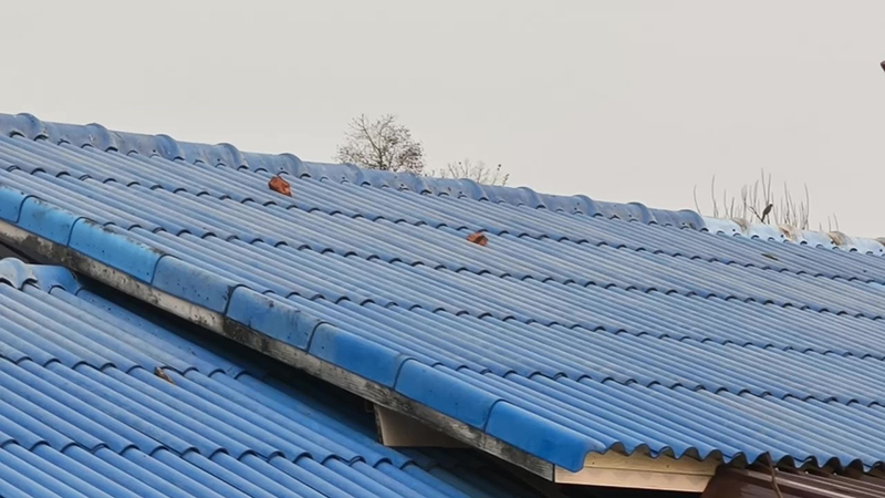 เพื่อนบ้าน