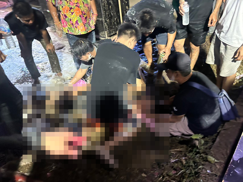 น้องต้นกล้า