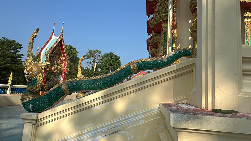 งูเขียวเลื้อยพันหางพญานาค