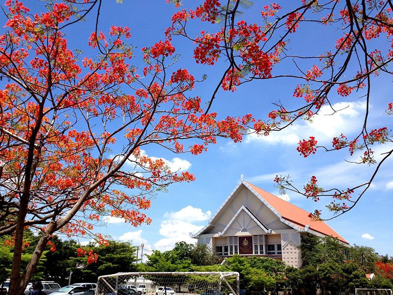 โรงเรียนไผทอุดมศึกษา