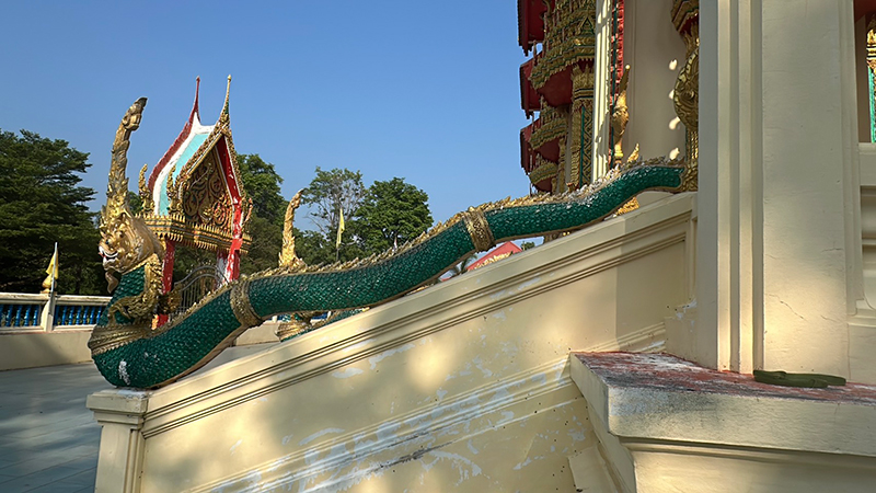 งูเขียวเลื้อยพันหางพญานาค