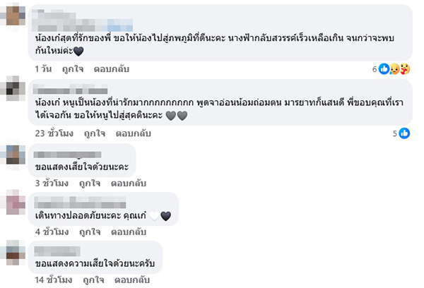 เก๋ Choose to test