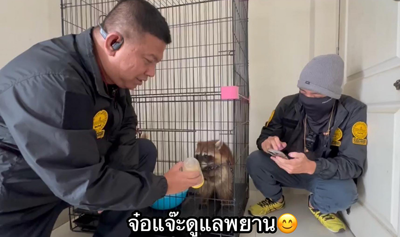 สวนสัตว์พาต้า
