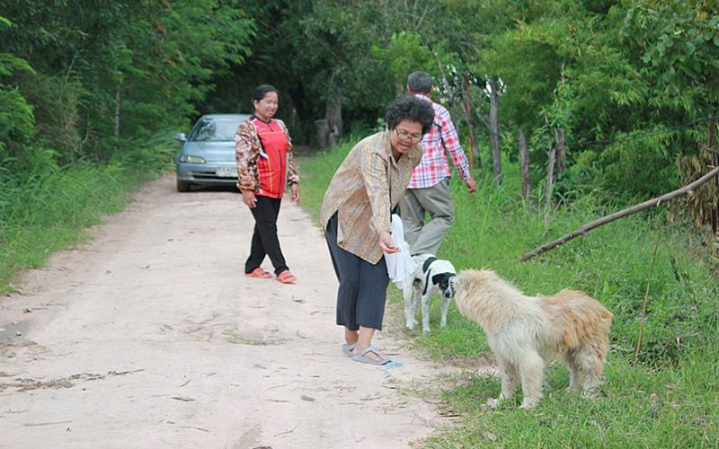 Familia del perro de Tailandia