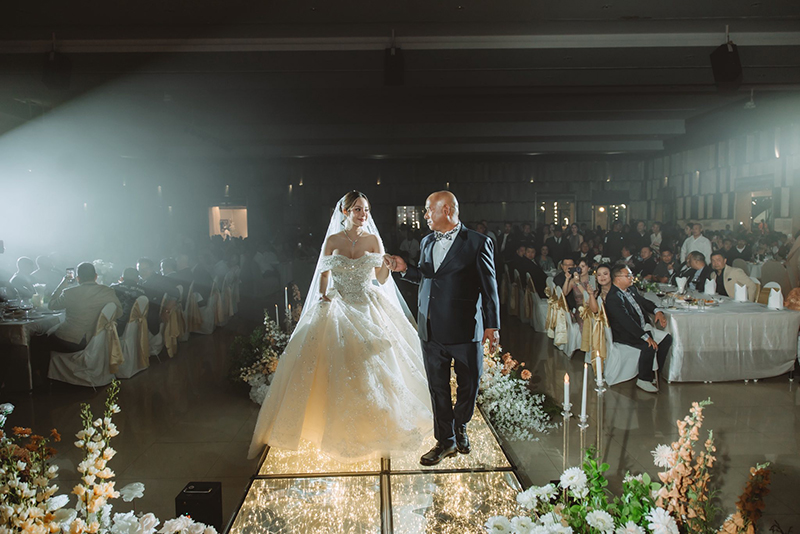 ต้นข้าว