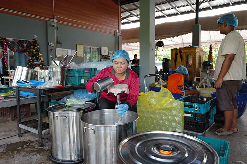 ชัยวุฒิ