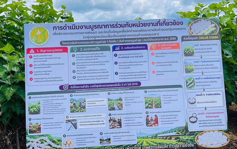 กรมพัฒนาที่ดิน