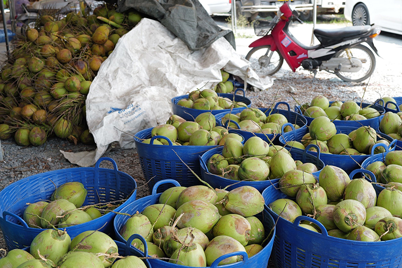 ชัยวุฒิ