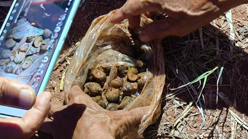 อากาศร้อน