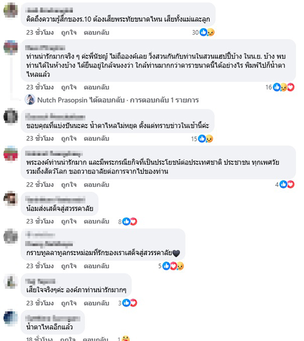 เจ้าฟ้าพัชรกิติยาภาฯ