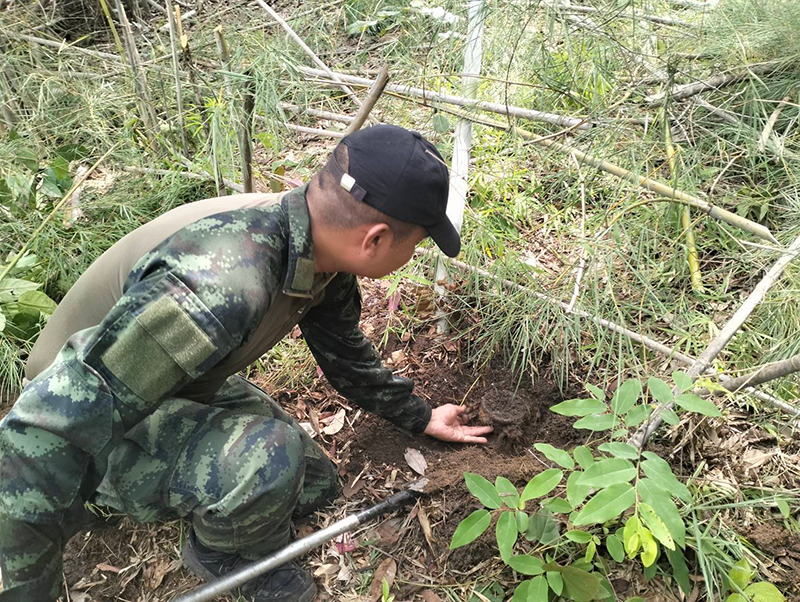 ทุ่นระเบิดเก่า