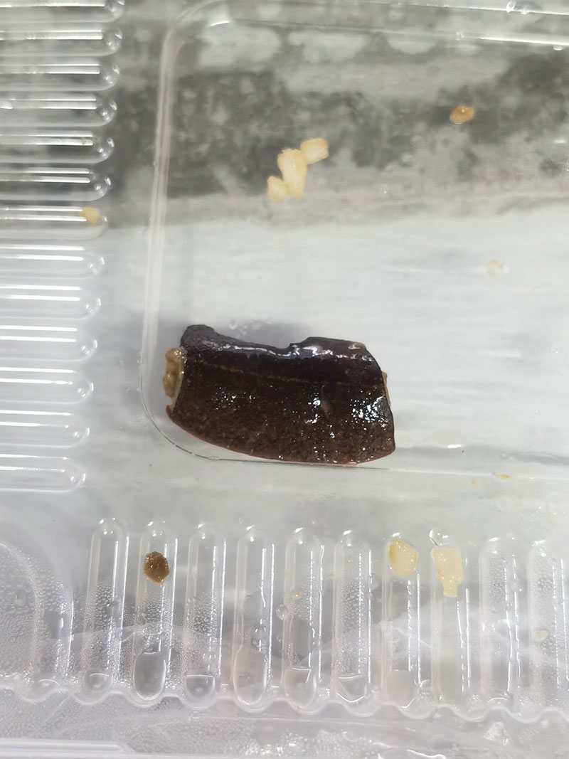 อวสาน มื้ออาหารแสนอร่อย