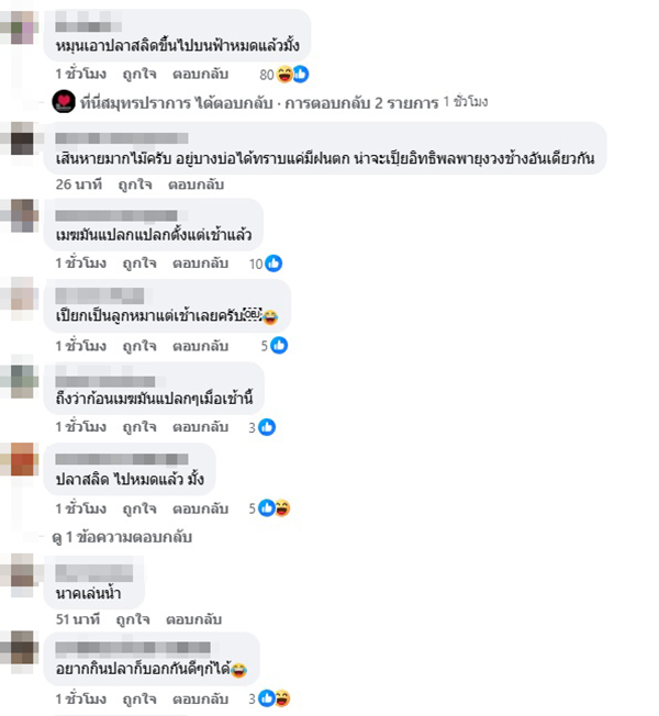 พายุงวงช้าง