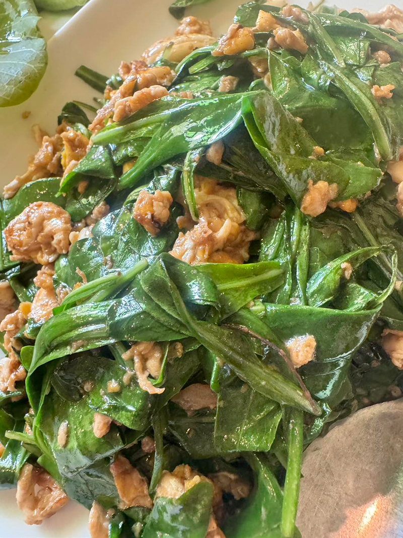 ลุงป้อม