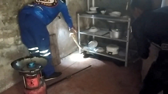 งูจงอาง