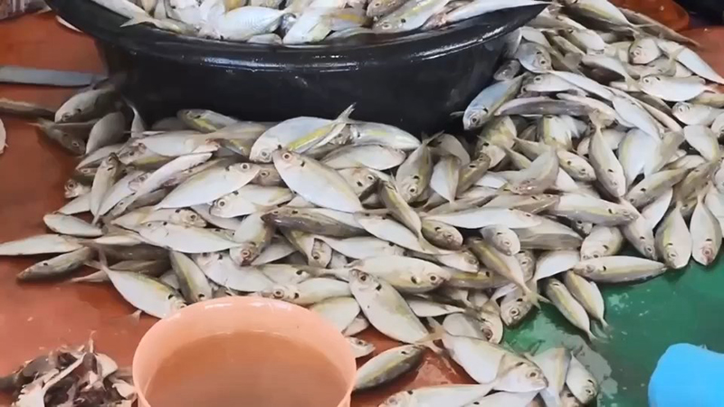 ประมงไทย