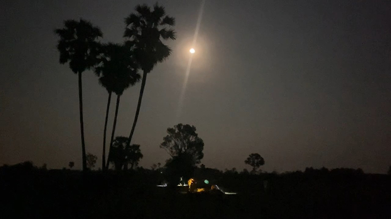 สุรินทร์