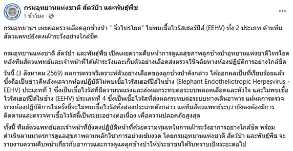 ช้าง