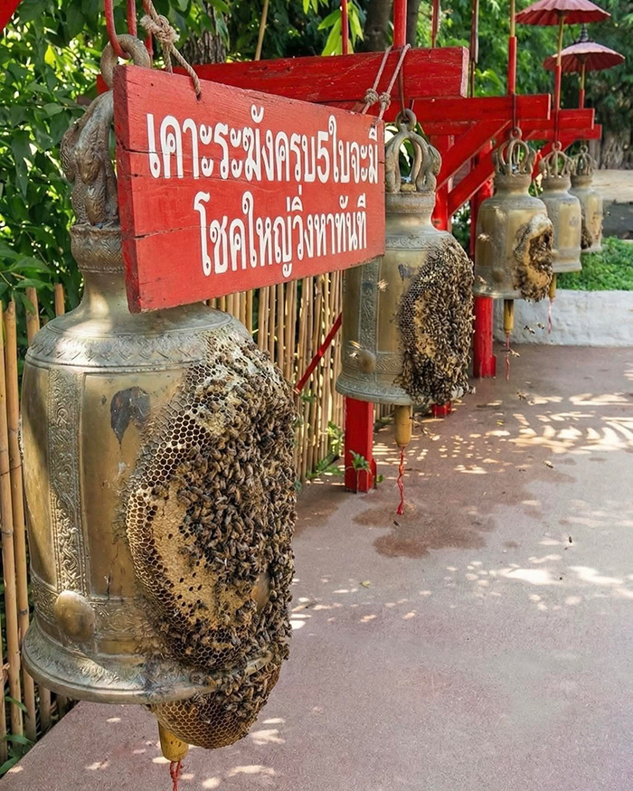 เคาระฆัง