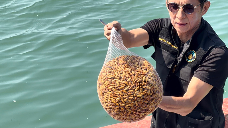 สินค้าอุปโภคบริโภค