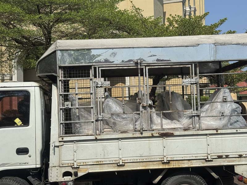 ธรรมนัส