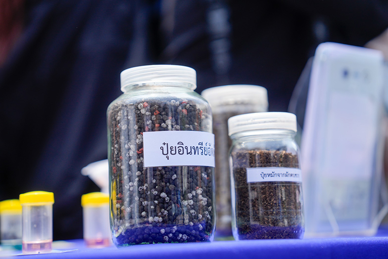 ปุ๋ยแพง