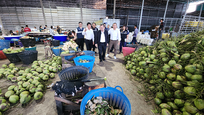 มะพร้าว